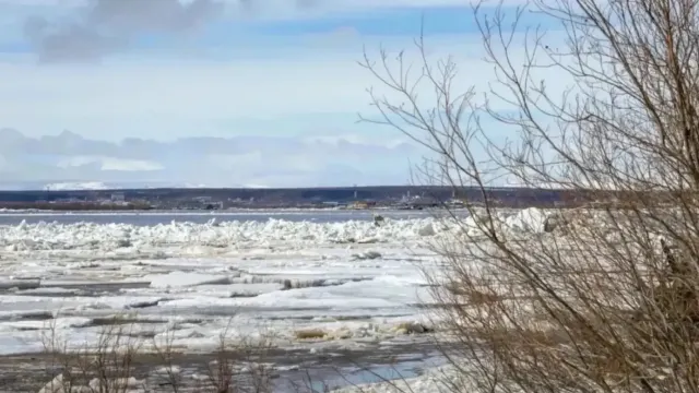Ледоход пришел на Ямал 12 мая. Фото: Фёдор Воронов / «Ямал-Медиа»