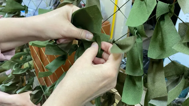 Фото: Анастасия Ульянова / "Ямал-Медиа"