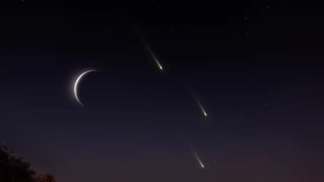 Фото: Nazarii_Neshcherenskyi/Shutterstock/Fotodom