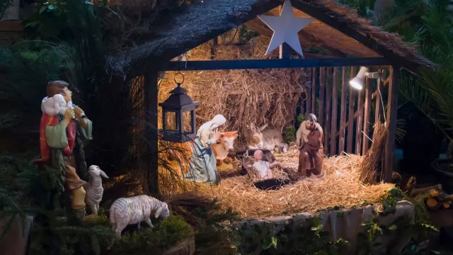 Фото: kipgodi/Shutterstock/Fotodom