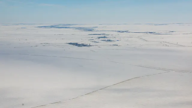 Фото: Андрей Ткачёв / «Ямал-Медиа»