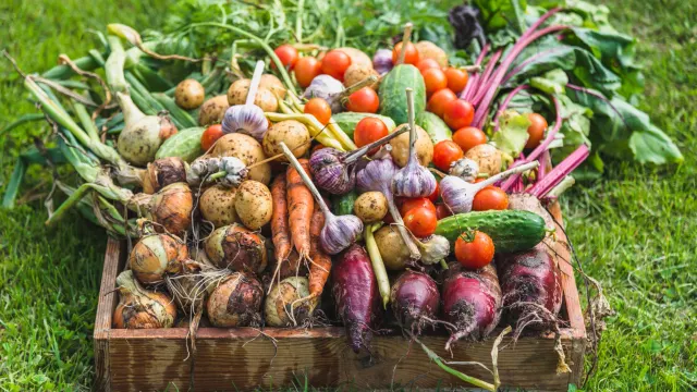 Фото: alicja neumiler / Shutterstock / Fotodom