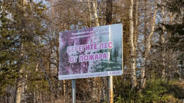 Фото: Дания Соболева / «Ямал-Медиа»