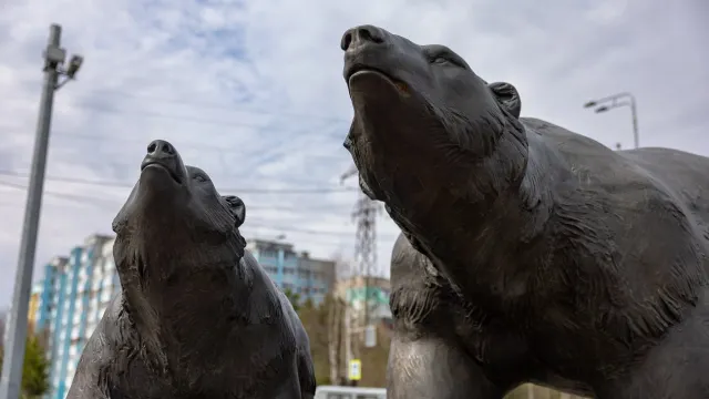 «Белые медведи». Фото: Юрий Здебский / «Ямал-Медиа»