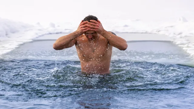 Фото: trambler58 / shutterstock.com / Fotodom