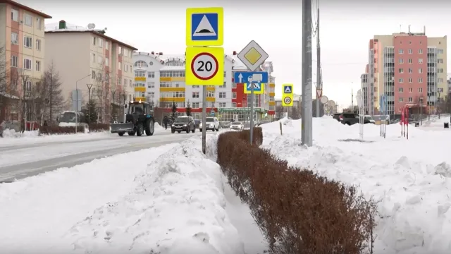 Фото: скриншот видео администрации Салехарда / vk.com/salekhard_adm