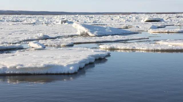 Фото: Андрей Ткачёв / «Ямал-Медиа»