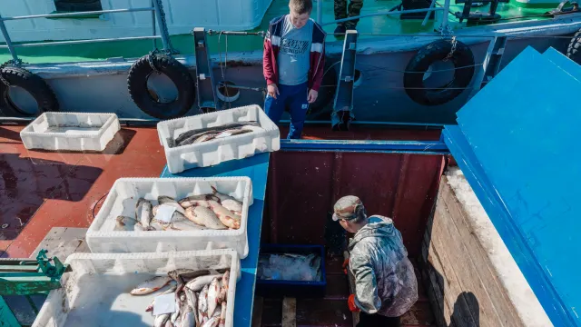 Фото: Андрей Ткачёв / «Ямал-Медиа»