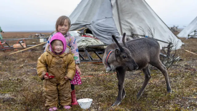 Фото: Фёдор Воронов / «Ямал-Медиа»