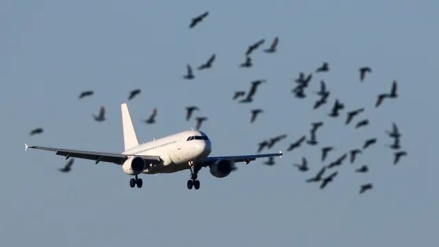 Фото: Fasttailwind/Shutterstock/Fotodom