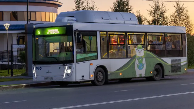 Бесплатно прокатиться на автобусе можно в дни празднования юбилея столицы Ямала. Фото: Фёдор Воронов / «Ямал-Медиа»