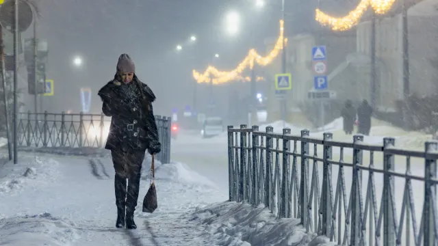Фото: Фёдор Воронов / «Ямал-Медиа»