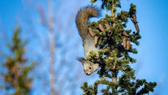 Фото: Фёдор Воронов / «Ямал-Медиа»