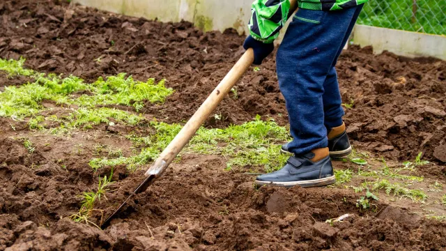 Фото: Evtushkova Olga/Shutterstock/Fotodom