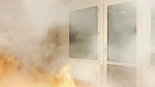 Фото: Migren art / Shutterstock / Fotodom