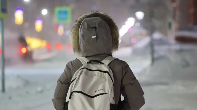 Фото: Андрей Ткачёв / «Ямал-Медиа»