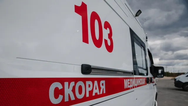 Фото: Алина Дьякова / «Ямал-Медиа»