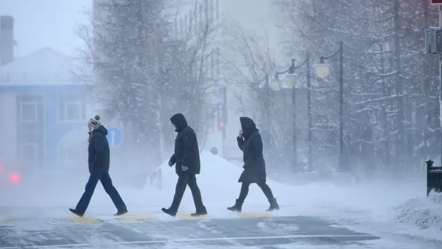 Фото: Василий Петров / «Ямал-Медиа»