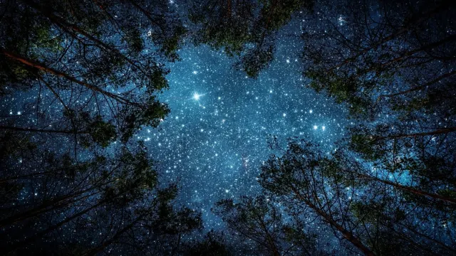 Фото: Triff / shutterstock.com / Fotodom