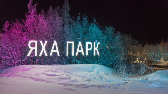 Фото: Фёдор Воронов / «Ямал-Медиа»