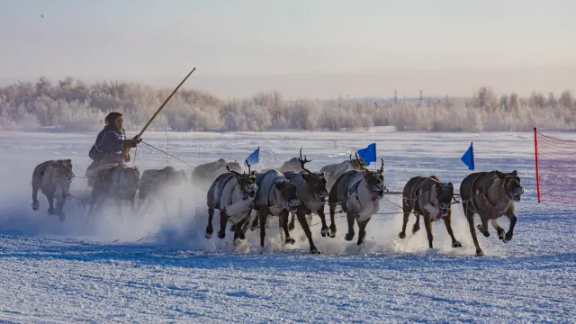 Фото: Никита Погодин / «Ямал-Медиа»