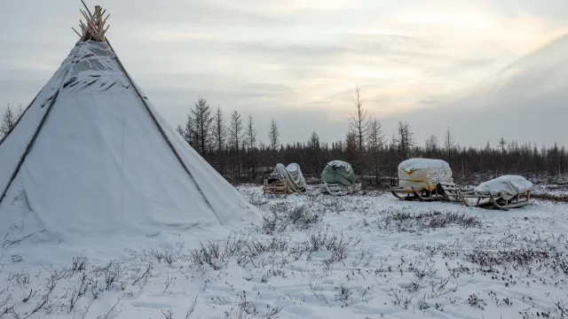 Фото: Фёдор Воронов / «Ямал-Медиа»