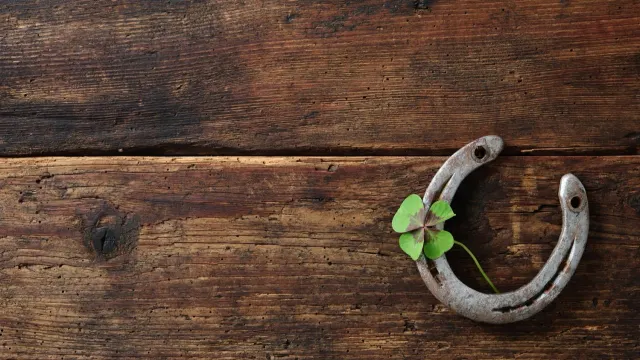 Фото: Alexander Raths / shutterstock.com / Fotodom