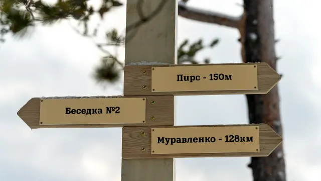 Фото: Сергей Зубков / «Ямал-Медиа»