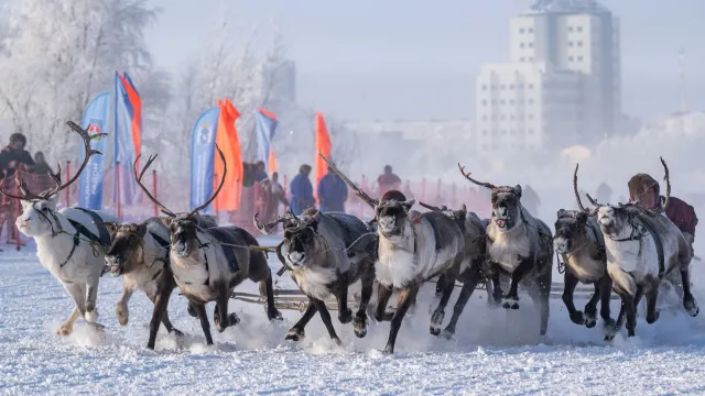 Надымской районан вуӆэӊ ёх емаӊ хатӆ постаса. Хор: ЯНАО губернатор пресс-служба