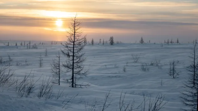 Фото: Сергей Зубков / «Ямал-Медиа»