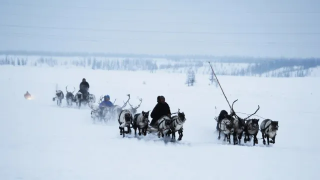 Сидяӈг: М. Яр’ тадтавы