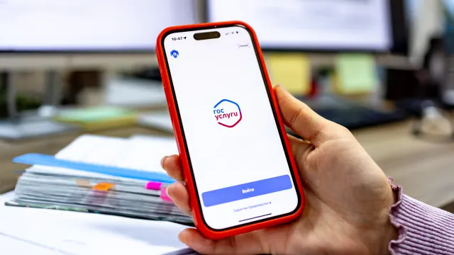 Фото: Сергей Зубков / «Ямал-Медиа»