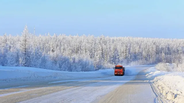 Фото: Фёдор Воронов / «Ямал-Медиа»