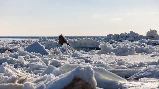 Фото: Сергей Зубков / «Ямал-Медиа»