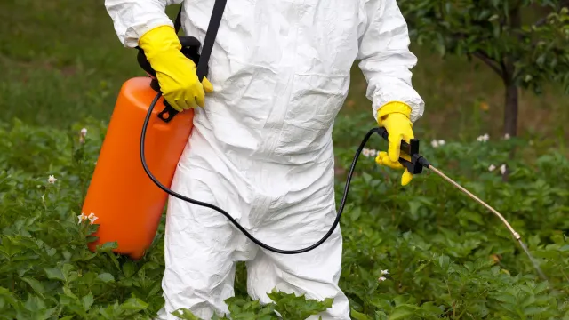 Фото: wellphoto/Shutterstock/Fotodom