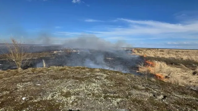 Тундра горела у полигона ТБО в Ямальском районе. Фото: ЕДДС Ямальского района
