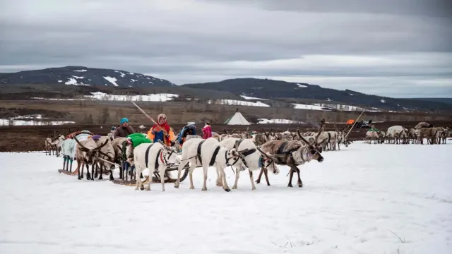 Касаӆты порайн рупата ар: хот лосытты па ӆонщты, сох ват ухӆата хушты, ӆонщ па йиӊк аӆты, юх эватты па сэварты мосаӆ. Хор: Екатерина Озелова
