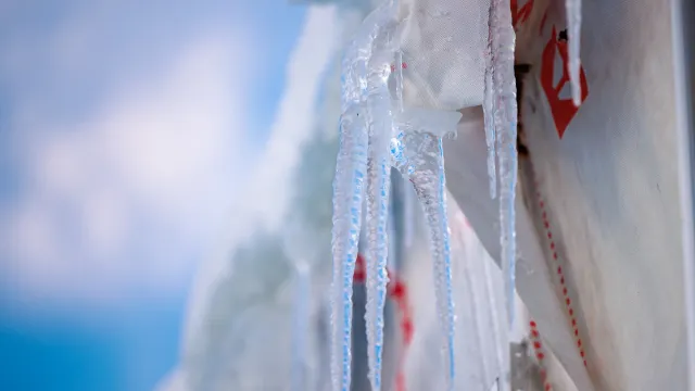 Фото: Фёдор Воронов / «Ямал-Медиа»