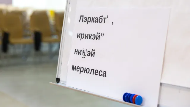 Фото: Фёдор Воронов / «Ямал-Медиа»