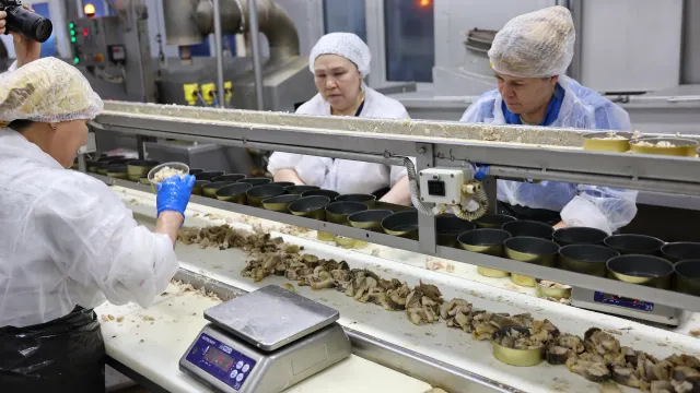 Фото: Андрей Ткачёв / «Ямал-Медиа»