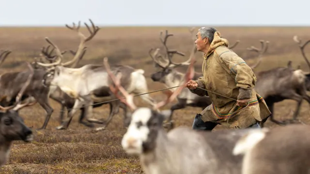 Фото: Фёдор Воронов / «Ямал-Медиа»