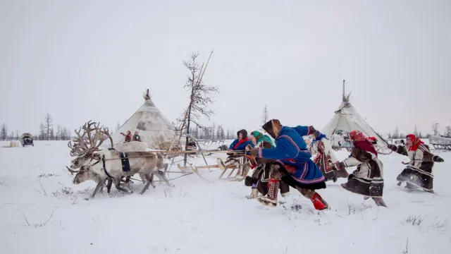 Ненецкая свадьба. Фото: предоставлено из личного архива Дениса Князева