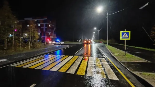 Фото: пресс-служба Госавтоинспекции ЯНАО