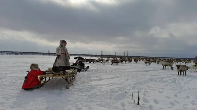 Фото из архива Екатерины Яптик