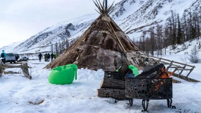 Фото: Сергей Зубков / «Ямал-Медиа»
