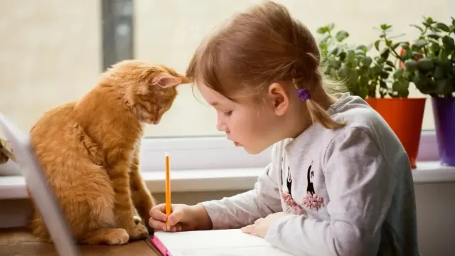 Фото: Sharomka/Shutterstock/Fotodom