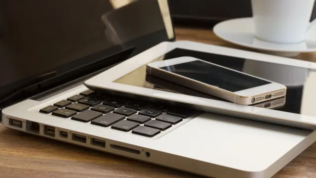 Фото: Neirfy/Shutterstock/Fotodom