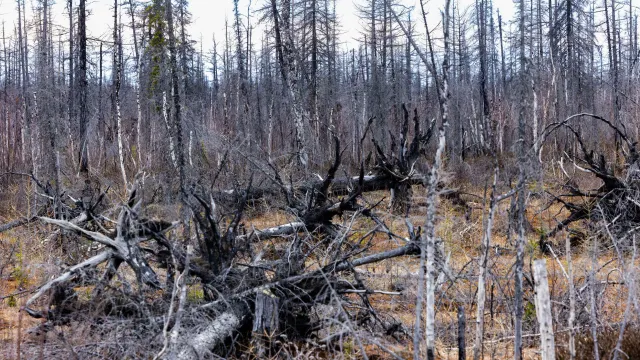 Фото: Дания Соболева / «Ямал-Медиа»