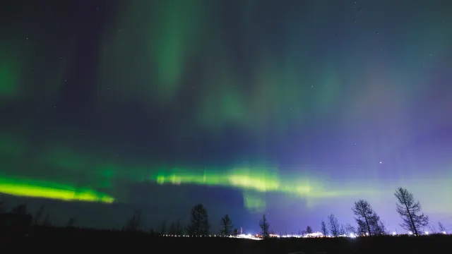 Фото: Юлия Чудинова / «Ямал-Медиа»