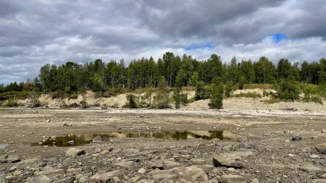 Местность, где обнаружили находки. Фото: Пресс-служба губернатора ЯНАО